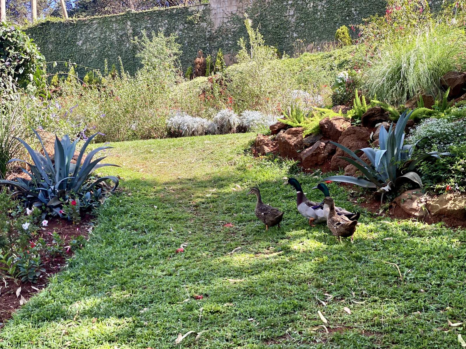 Maarifa Park - Views